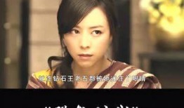 华丽出轨在线观看,揭秘娱乐圈的隐秘情感纠葛